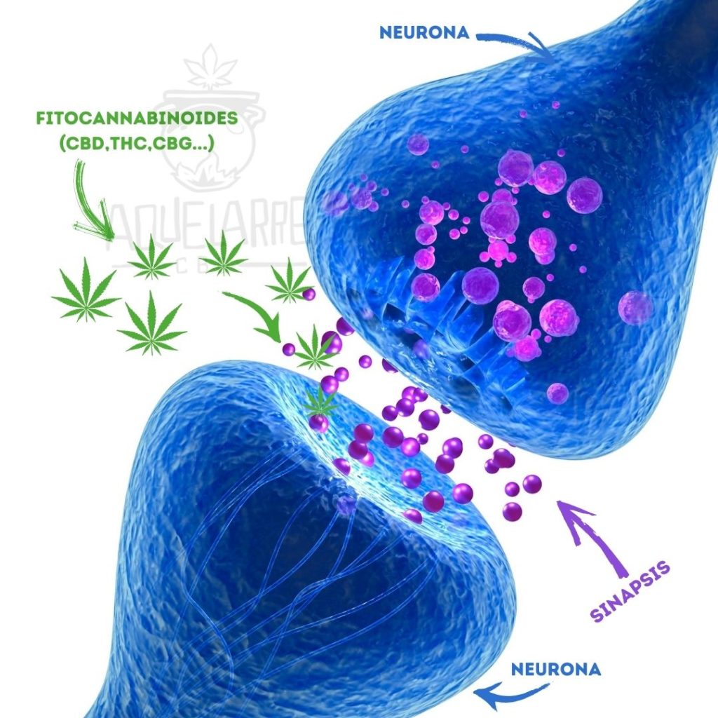 compra cbd de calidad a buen precio. la mejor tienda de cbd online de españa, tienda cbd en barcelona
