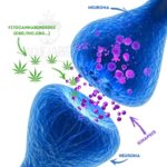 compra cbd de calidad a buen precio. la mejor tienda de cbd online de españa, tienda cbd en barcelona