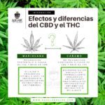 diferencias entre el THC y el CBD compra cbd de calidad a buen precio. la mejor tienda de cbd online de españa, tienda cbd en barcelona