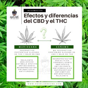 diferencias entre el THC y el CBD compra cbd de calidad a buen precio. la mejor tienda de cbd online de españa, tienda cbd en barcelona
