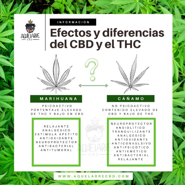 diferencias entre el THC y el CBD