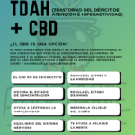 infogracia completa sobre el tdah y los posibles beneficios del CBD - Tienda cbd españa- Información Aquelarre CBD